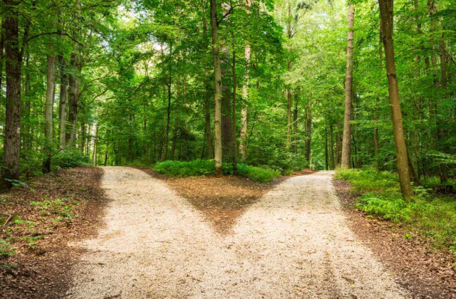 bktita's tweet photo. There are pros and cons of surfacing services in the @Axway AMPLIFY Platform through an Application Integration #Connector or as an #API in AMPLIFY Central. Find out which choice is best for you! #AxwayDevBlog by Vincent Belfoure https://t.co/5wYKRKkGey https://t.co/e5TbXLZ5K5
