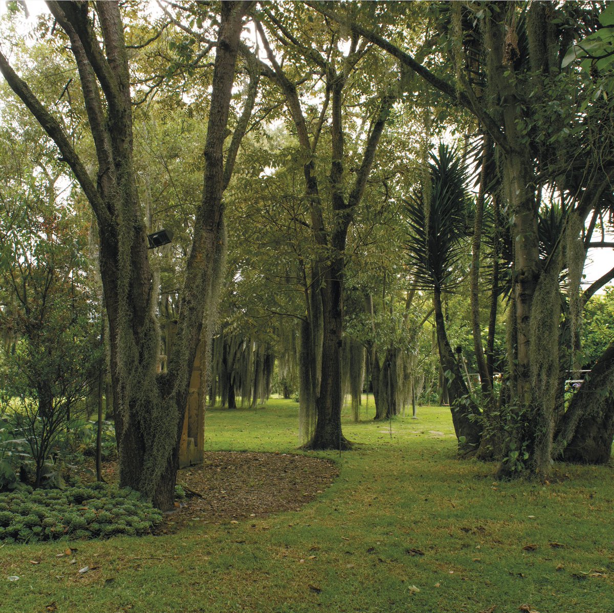 hdacasatorano's tweet photo. Nuestros jardínes son mágicos 🍃
#haciendacasatorano #casatorano #torano #comprometidos #weddingday #weddingplace #bodasbogota #filmacionesbogota #film #rodaje #engaged #haciensasbogota #haciendascolombia #magicday #garden #jardin #matrimoniosbogota #matrimonioscolombia #perfect https://t.co/Hom0J9YbZC