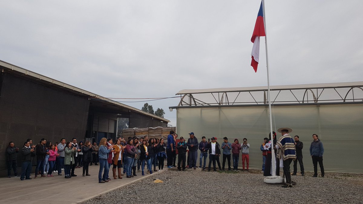 1V_vinos's tweet photo. Celebrando el Mes de la Patria 🇨🇱 https://t.co/j4qyAEhWXm