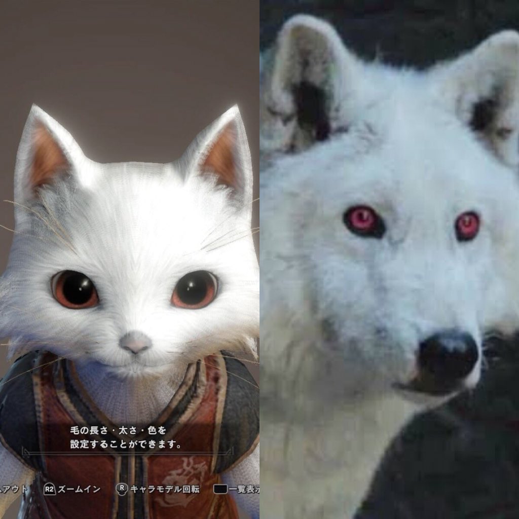 Ageha Mhw アイスボーンのセカンドキャラは ジョンスノウとゴースト アイスボーンは まさに壁の向こうのイメージ ゲームオブスローンズ アイスボーン T Co Adjyybrc Twitter