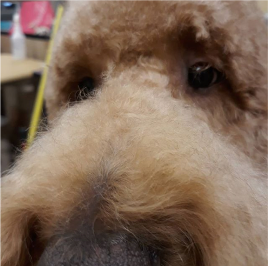 We’re so close to the weekend….like THISCLOSE. Happy Friday! #LifeAtPetSmart #FriYAY
📸: IG abracadabraanna