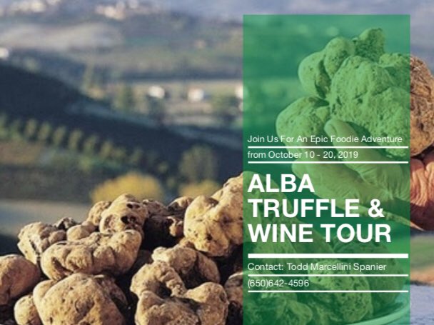 It’s truffle season! Come join us a check the Alba Truffle Fest off your bucket list!