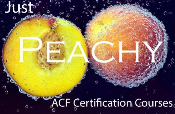 123ceCom's tweet photo. simple &amp; sweet courses for ACF Certification. 🍊
- online for flexibility
- 15% off for affordability https://t.co/J2n3RsH8Ke