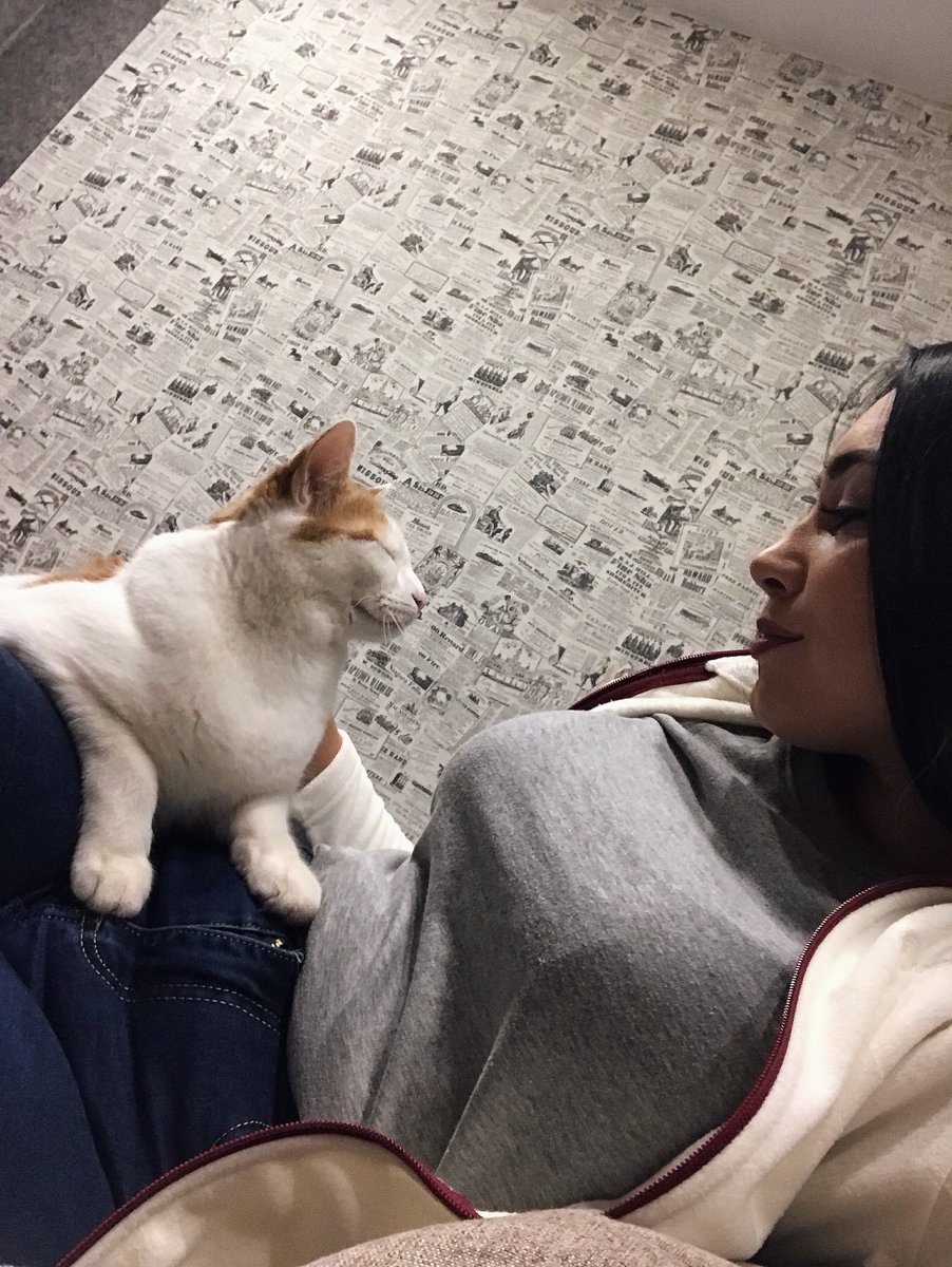 У нас лябофь 😻❤️😂