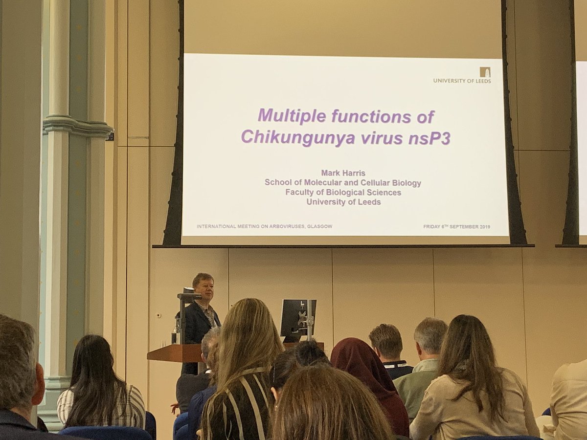 Harris Lab (@harrislableeds) on Twitter photo Speaking at #IMAV2019 today about the multiple functions of CHIKV nsP3. Thank you to the organisers of <a href="/MicrobioSoc/">Microbiology Society</a> for inviting me to deliver this talk! Speaking at #IMAV2019 today about the multiple functions of CHIKV nsP3. Thank you to the organisers of <a href="/MicrobioSoc/">Microbiology Society</a> for inviting me to deliver this talk!