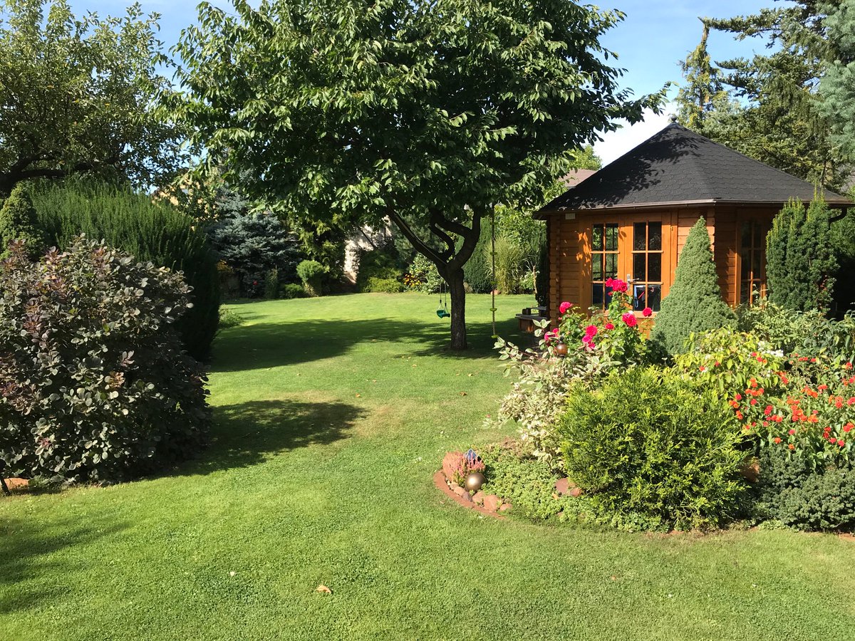 Horst Schroeter tweet media