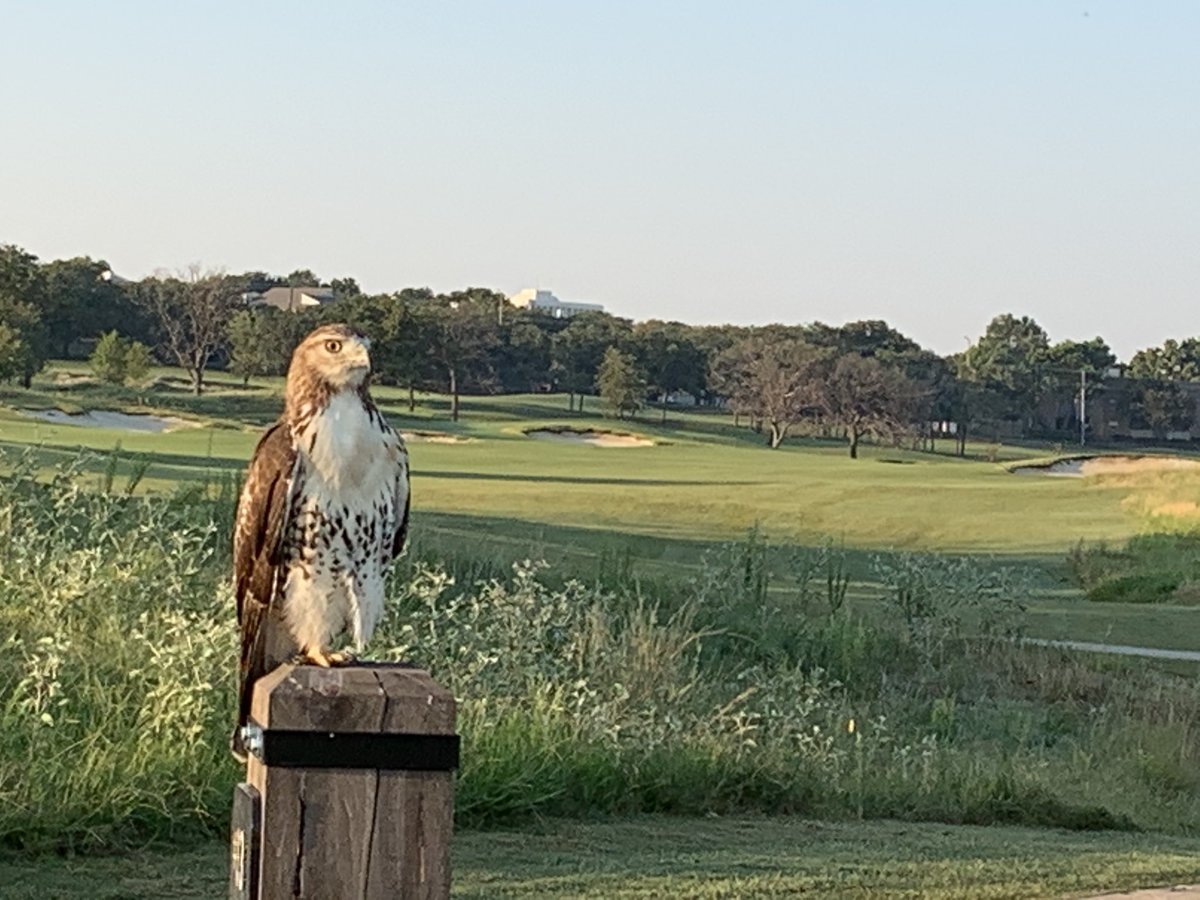 Brick Scott tweet media