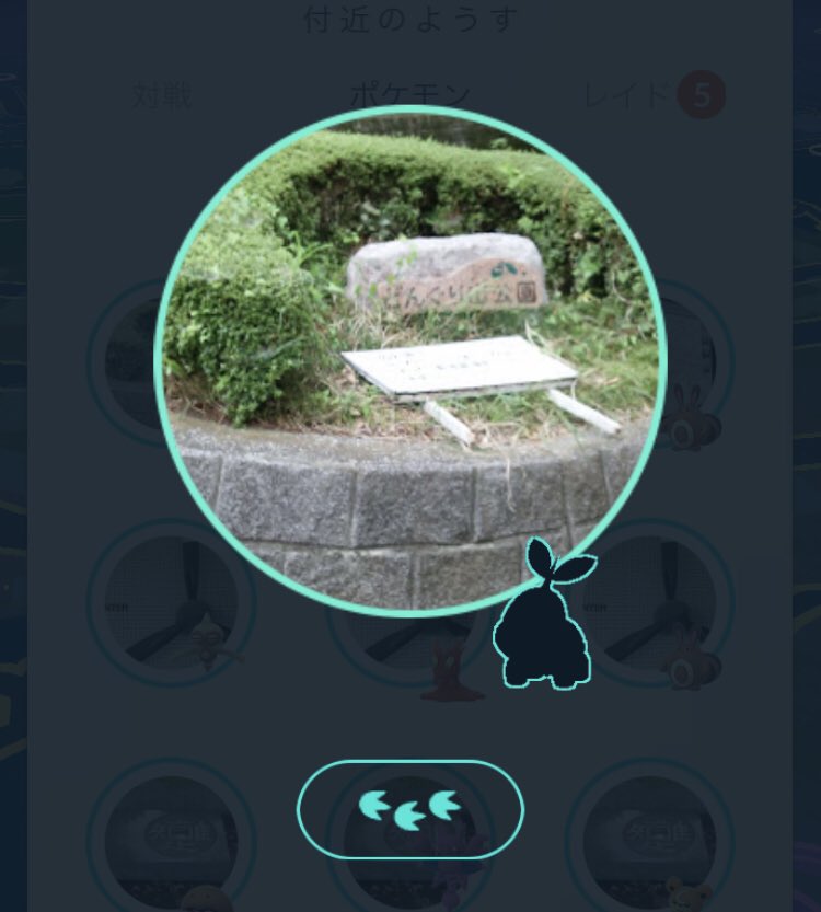 ポケモンgo ナエトルの影事件は未だに改善されず ニアバイが紛らわしい ポケモンgo攻略まとめ速報