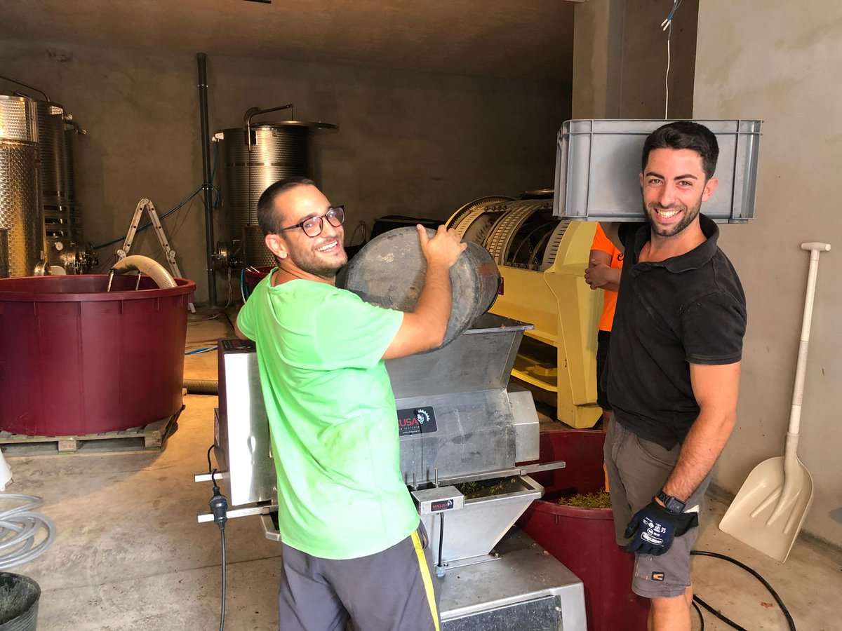 Avui ha nescut un nou vi, d'una bogeria d'un sopar a una realitat ferma, Macabeu de <a href="/CellerSanroma/">Celler Sanromà</a> i Xarel·lo de <a href="/Esteve_Gibert/">Celler Esteve Gibert</a> de manera brisada, esperançats, contents i amb ganes d'embotellar aquesta nova col·laboració.

#macabeu #cellersanromà #esteveigibert #xarello