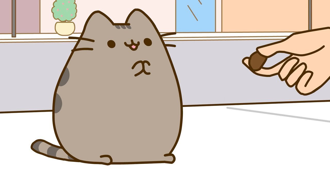 Anime Cat of the Day on Twitter: 