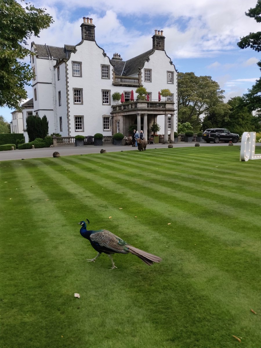 HeatherMarston_'s tweet photo. Such a stunning setting for the super glam Lunch with an Old Bag @oldbagchair event! Thanks to all the lovely ladies (and men) coming together today to raise much needed funds for @PrincesTrustSco. It's great to be a part of it all @3x1Group 👜 #BagsofChange #LWOB https://t.co/KMLiXD6ViN