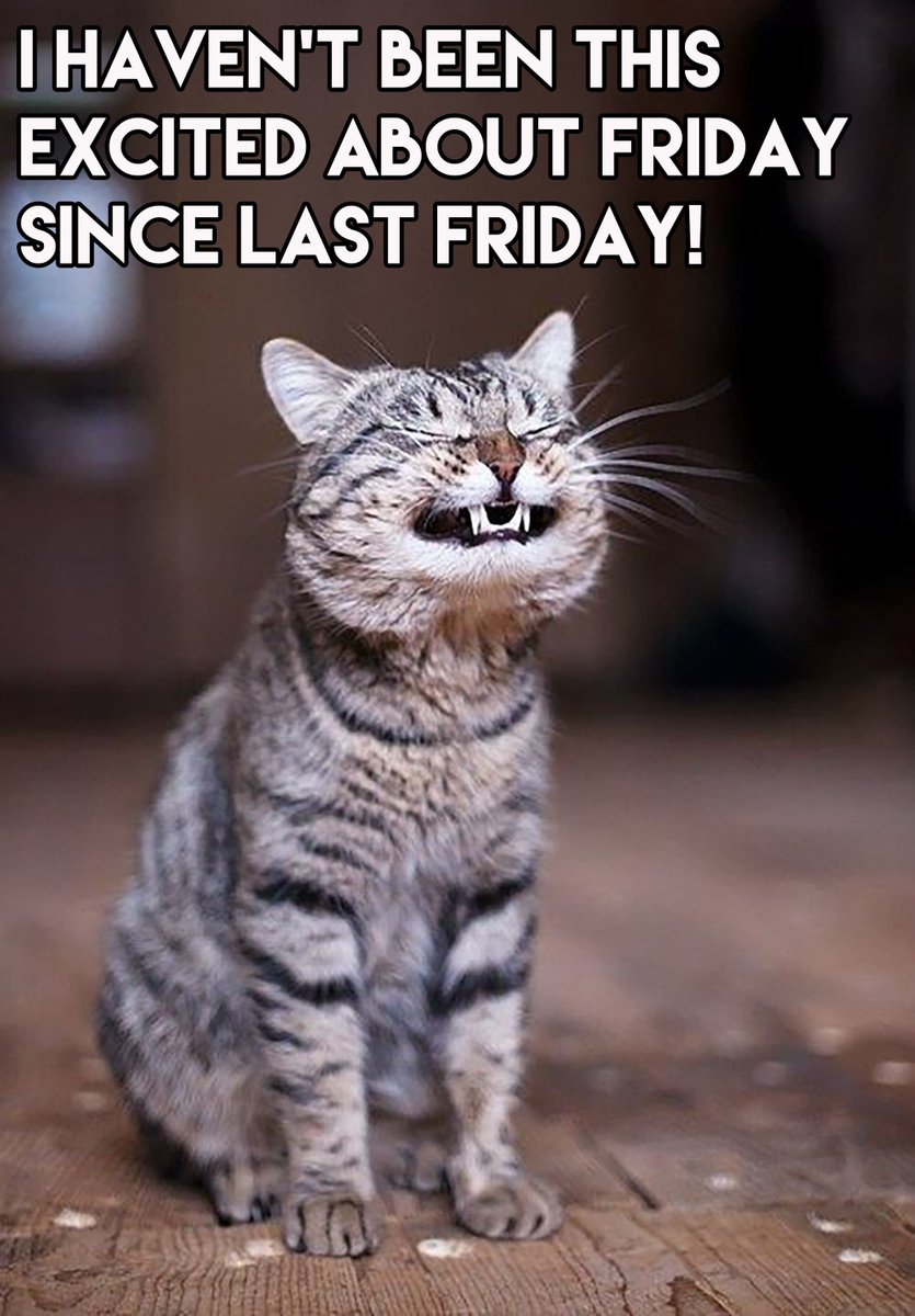 Proceilingtiles Proceilingtiles Twitter