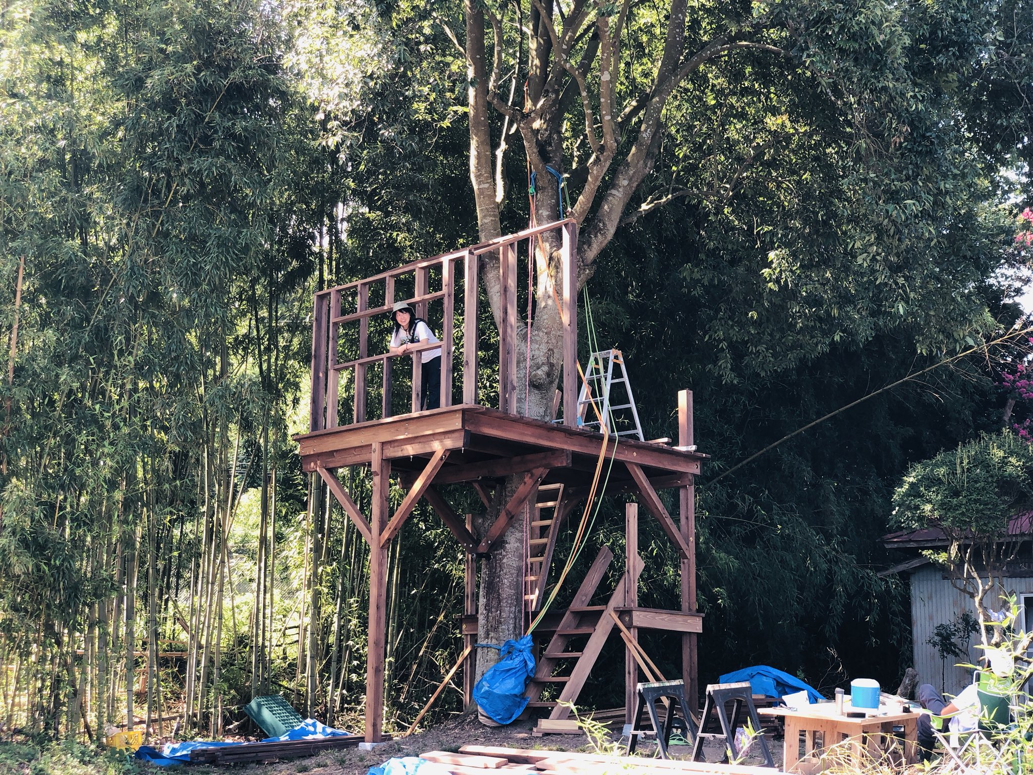 斉藤道有 東北ツリーハウス観光協会 いよいよツリーハウスの小屋組がはじまりました ツリーハウス 部の皆勤賞フユネちゃんも手伝いに来てくれて賑やかです 明日 明後日は制作お休みで月曜から再開しますので お手伝いしたい方待ってます 東北ツリー