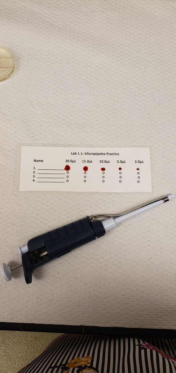 teach_me24's tweet image. Having a blast so far at the Amgen Experience! Can't wait to bring these labs to my kiddos 😁 #abe_tampa #tkanatomy #tkbio #scienceteacher  #highschoolscience #iteachscience