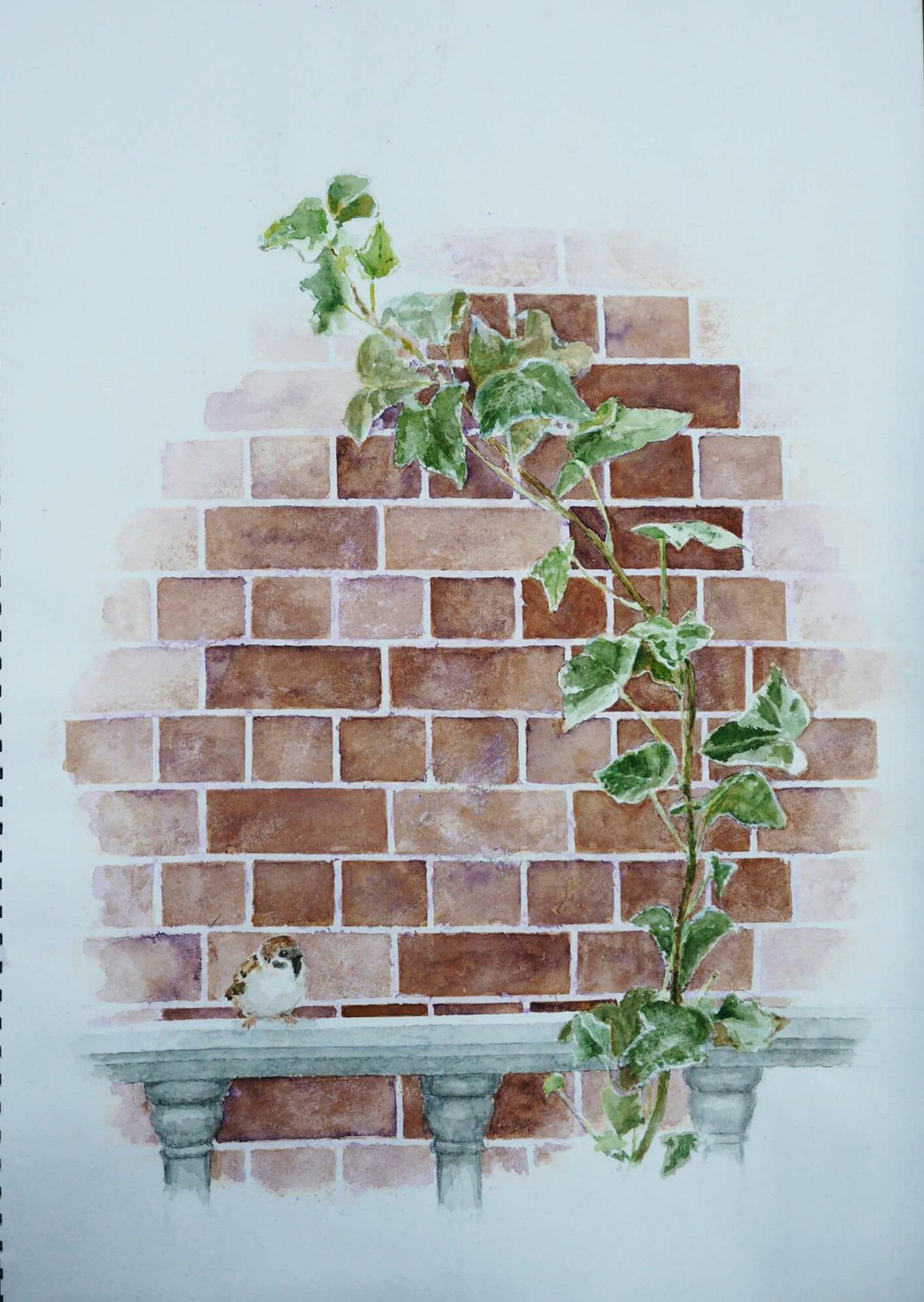 平田智暁 作曲家 プロフィールの絵は2年くらい前に書いた絵かな 平田智暁作 路地裏の窓辺 水彩 F6 絵画 水彩画 レンガ 雀 アイビー T Co Boyhy4unil Twitter