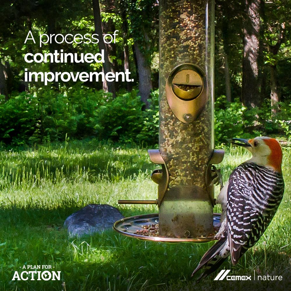 As we work to protect biodiversity around our quarries, we complete three main steps where we monitor, evaluate, and report on our progress to make sure we are doing our absolute best for the environment. 🍃