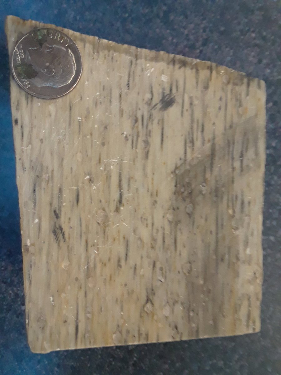 rockswhisperer's tweet photo. Today the #Structuralist presents this lovely L-tectonite as we discuss coaxial and non coaxial deformation #geology https://t.co/AsM4ZcoOhp