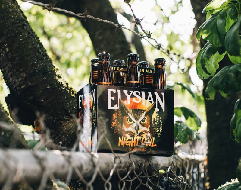 Brewed with 150 lbs. of pumpkin in each batch. Made with Pale, Munich and Crystal malts green and roasted pumpkin seeds, pumpkin in the mash, boil and fermenter. Bittered with Horizon hops. Spiced in conditioning with nutmeg, clove, cinnamon, ginger and allspice.