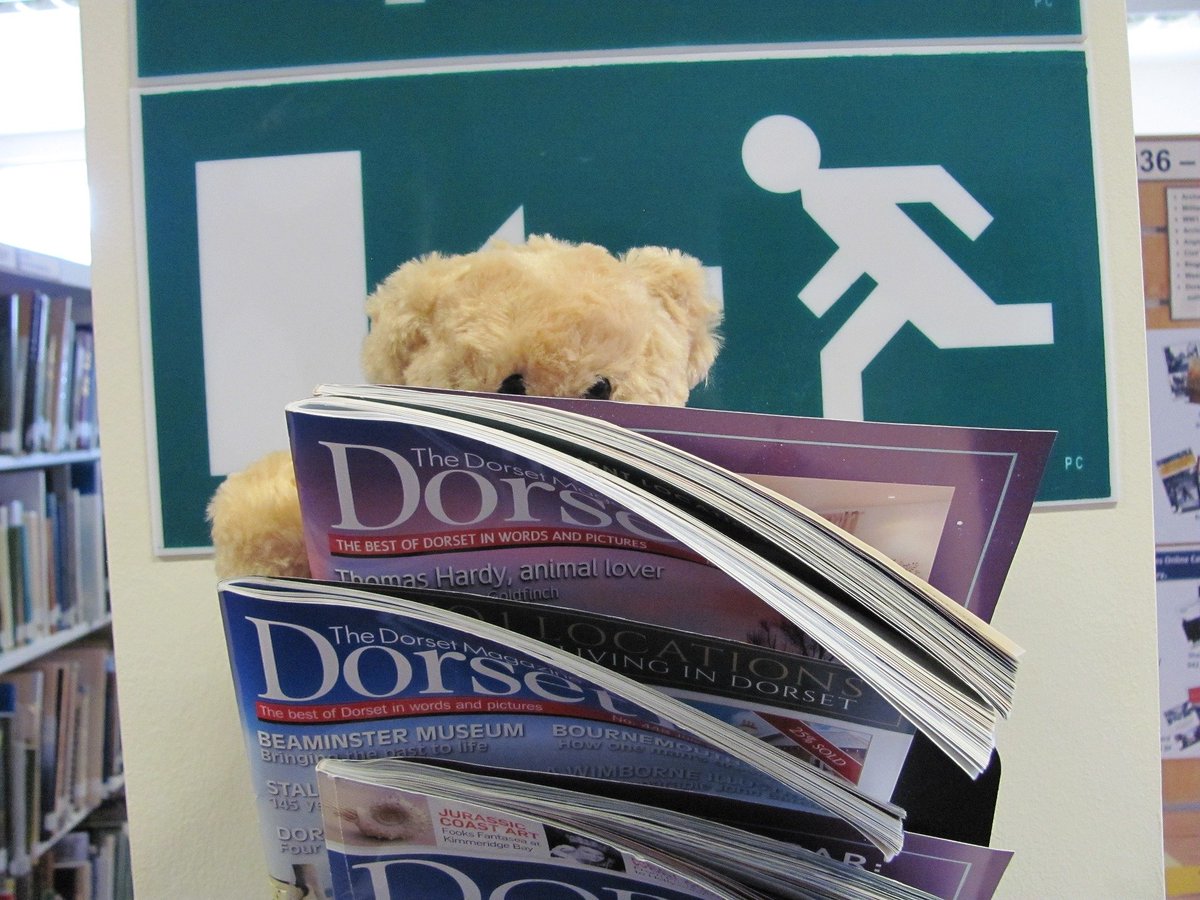 DorsetArchives's tweet photo. It's #NationalReadABookDay! You can find all sorts of publications on #Dorset in our Local Studies Library, on every topic from folklore to farming π You might even catch a glimpse of #archivebear Regis! π»
#ExploreArchives #LoveLibraries https://t.co/vseYsi28RJ