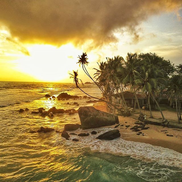 amilapcs's tweet photo. Golden #sunset  view near infamous Instagram hotspot at #dalawellabeach (from an unconventional perspective )
#djimavicpro #dronestagram #dronesunset #srilanka #travel #sosrilanka #srilankatravel #sea #ocean #hdr https://t.co/qyDVfrNh8i https://t.co/C7H4POaT2G