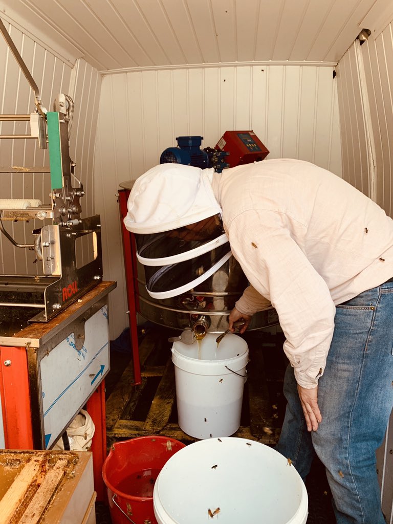 drimeric's tweet photo. Récolte de 🍯 miel ! Merci mesdames abeilles 🐝 pour le boulot... pas contente de partager mais nous sommes partenaires 😍 #agridurable #happyculteur @FiliereCRC @FloraSchmitlin #luharmony @MDLZ @valfrancecoop #biodiversité #ceuxquifont https://t.co/hkhvQK1I1T