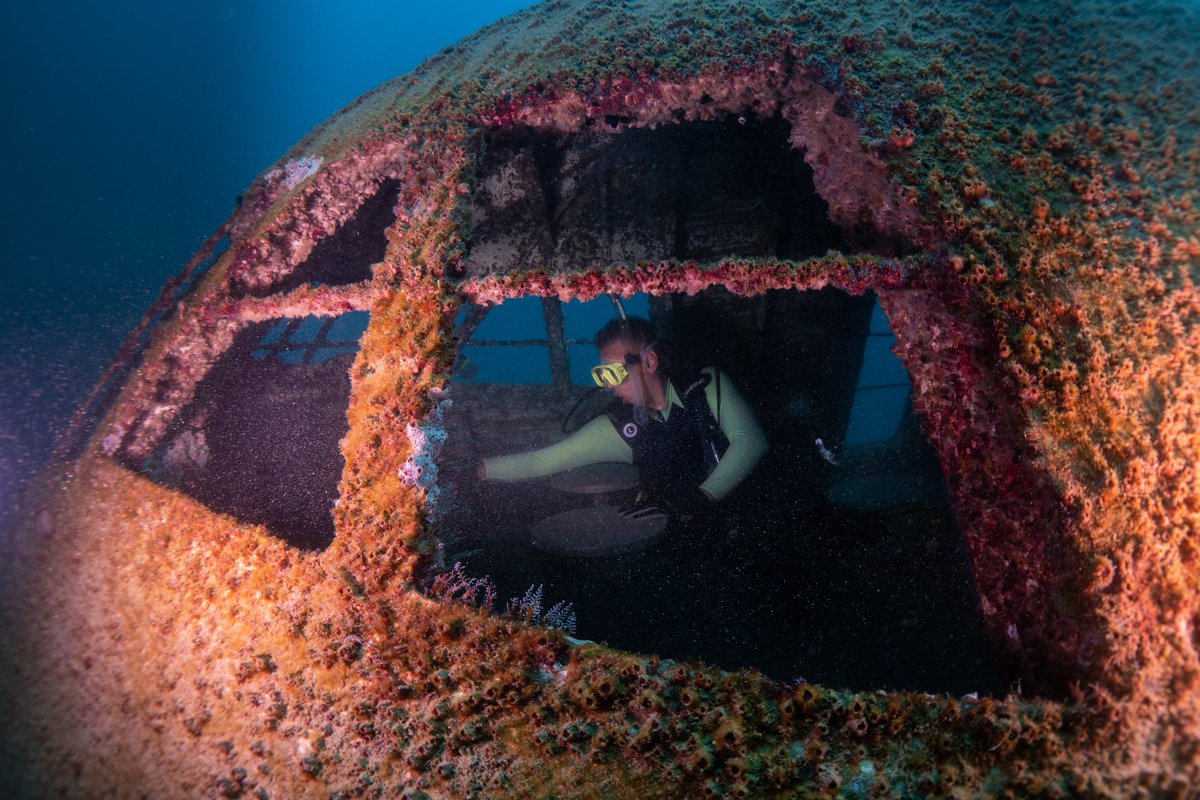 divebahrain's tweet photo. البحرين تفتتح أكبر منتزه للغوص في العالم رسميا اليوم بعد الانتهاء من غمر طائرة بوينج 747 في قاع البحر

Bahrain officially launches the world’s largest eco-friendly underwater dive park, with a Boeing 747 as its centerpiece

#DiveBahrain #Bahrain #Scubadiving #BahrainOursYours https://t.co/U0JXUxtniC