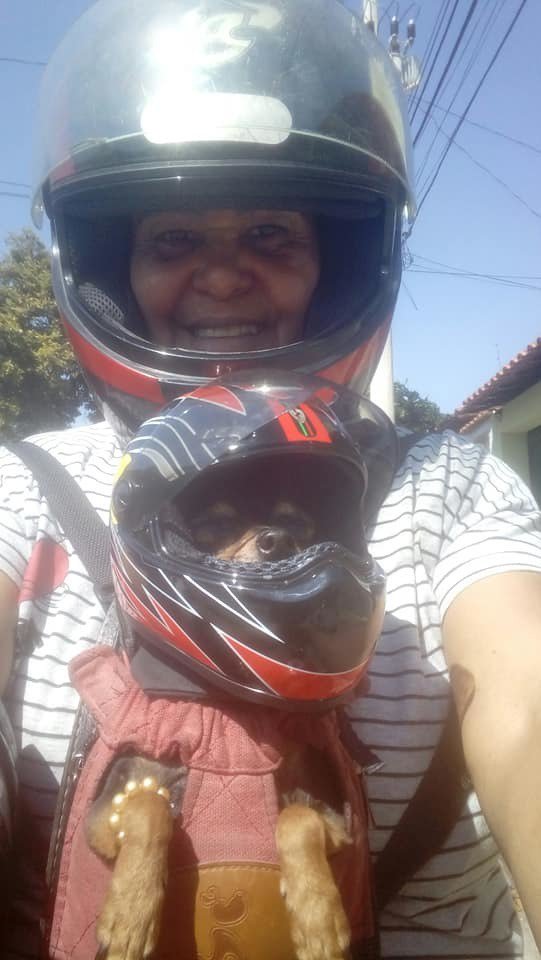 'Hoje foi dia de vacinar a Minimi. . Pensa no escândalo que ela fez . Mas chegou em grande estilo motoqueira.'

crédito: Adna Rocha