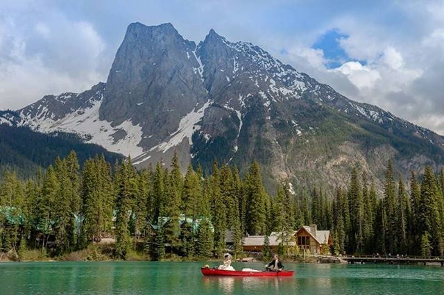 Confetti tweet media