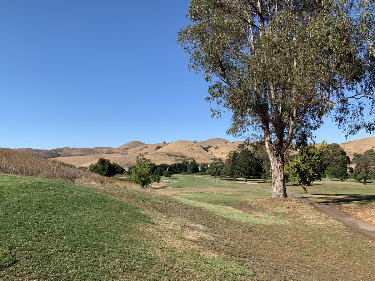 Late tweet... This is what I do in my days off. I’ve been told that <a href="/johnny_soliz/">Johnny Soliz</a> and @BJTaylor_5 are also avid golfers so I invite you to play a round next time we are in the same city. What do you say?
#Golf #Oday