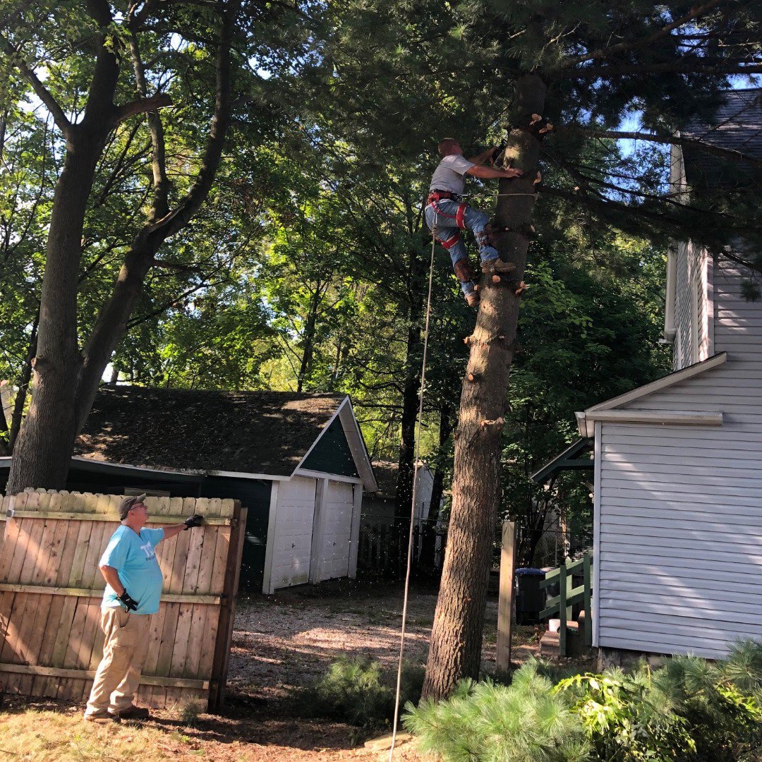 TRY_akron's tweet photo. Did you know we also do tree work? . . . 
Yep! Its part of our lawn care and landscaping services https://t.co/3zFn6P1ML7
