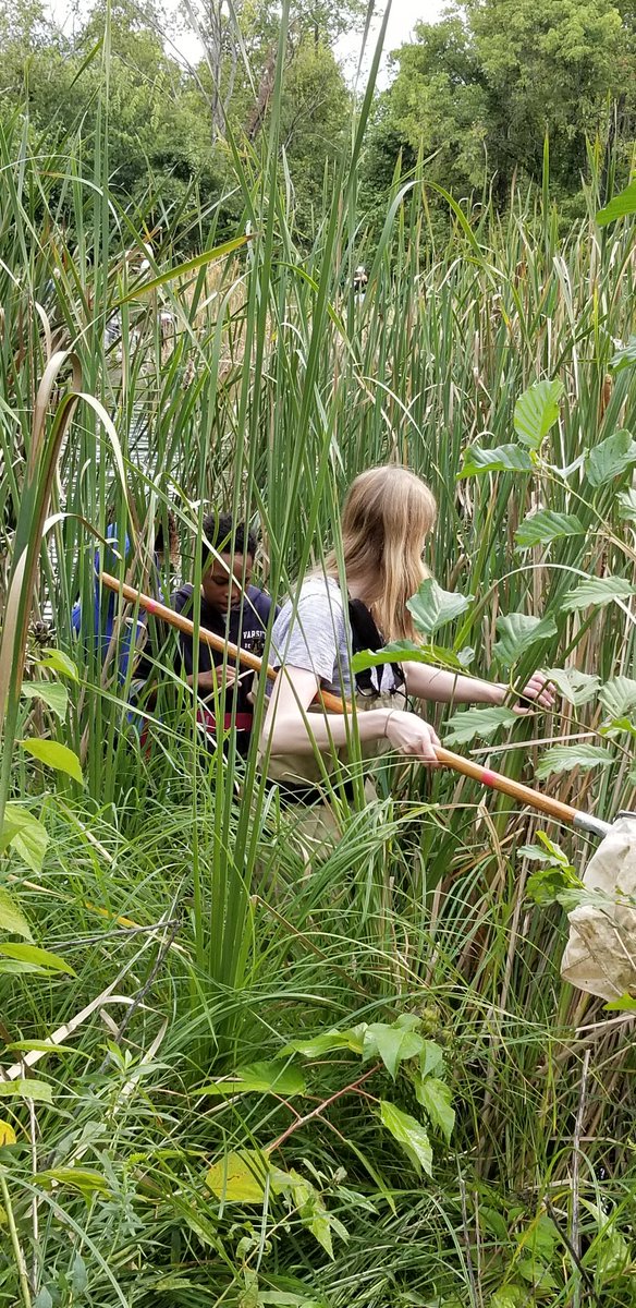 KemperMr's tweet photo. Exploring the ecosystem in our own backyard with @SpencerSiddons and students from @LifeAtPurdue. #ic1920 #KeepExploring #onlyatICE https://t.co/Wft2RuE9M7