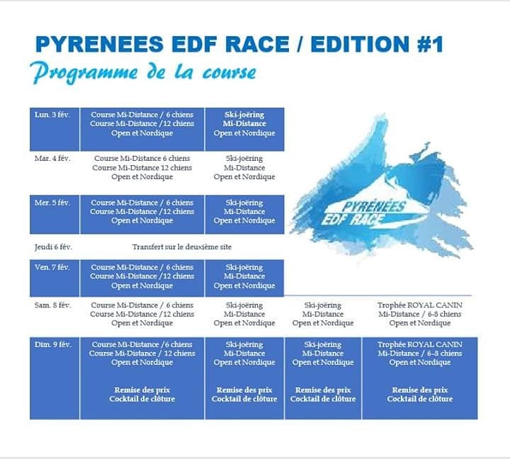RacePyrenees tweet picture