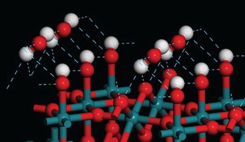 read virus resistant transgenic plants potential