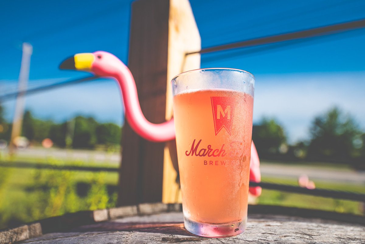 marchfirstbrew's tweet photo. Today is your last chance to participate in #FlamingoFriday! Bring in that lawn flamingo that's just chilling in your garage to add it to our flamingo army and get your first Ciderdays for $1! #M1Brew #cincybeer #cincycider #ohiocider #cincinnati #drinklocal https://t.co/1VPRhj1C9j