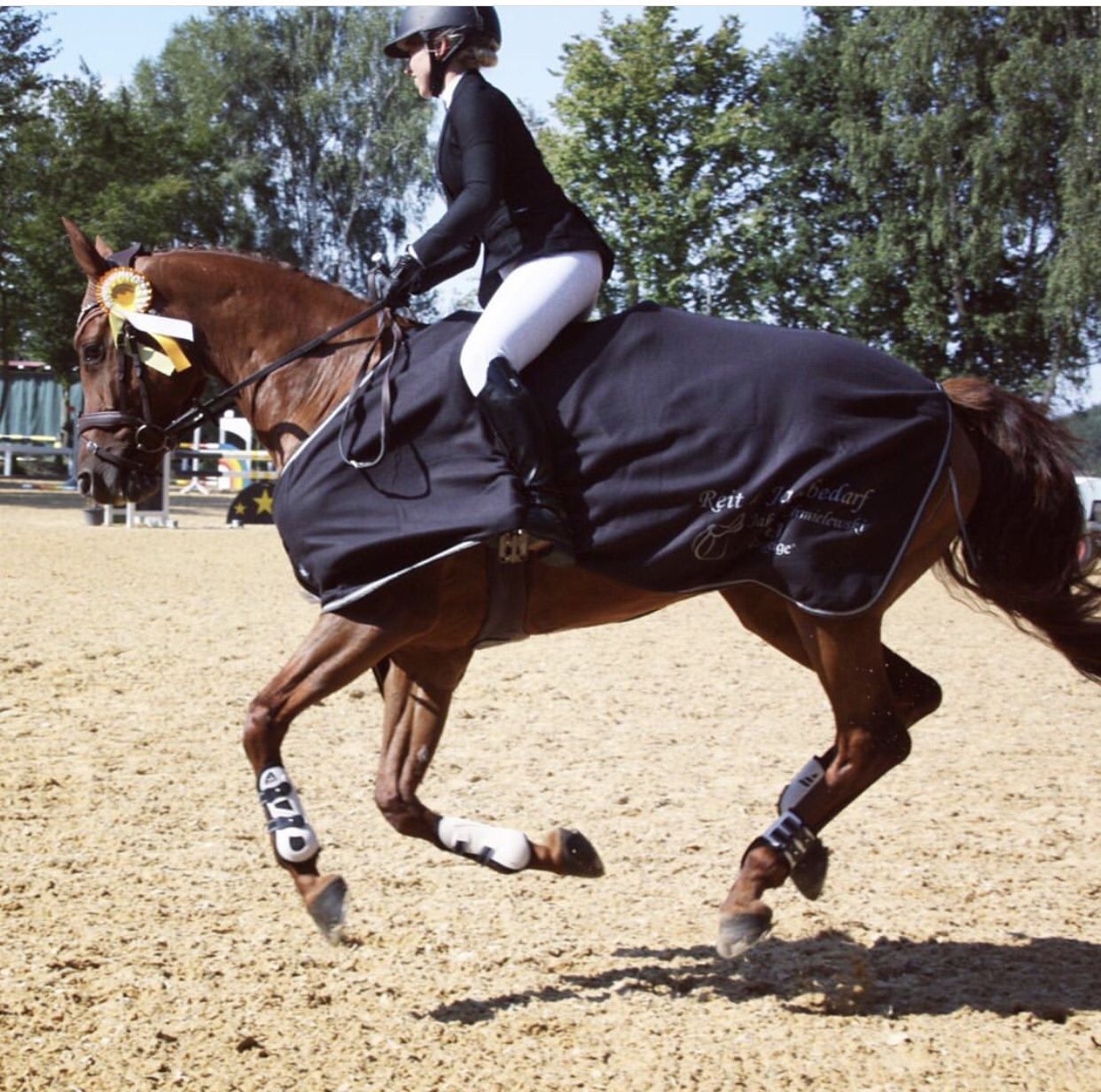 premier equine fetlock boots