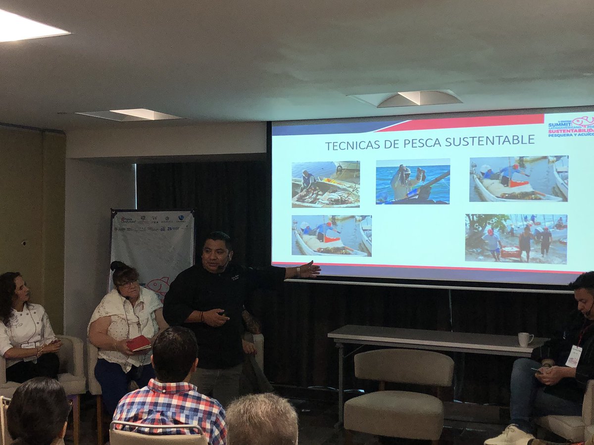 RichardCudney's tweet photo. Great chefs of Mexico on the role chefs can have in promoting sustainability in fisheries and aquaculture at the Latina American Summit for Sustainability of Fisheries and Aquaculture #PescaConFuturo @YoPorLosOceanos #YoPorLosOcéanos https://t.co/TYR6NQFG18