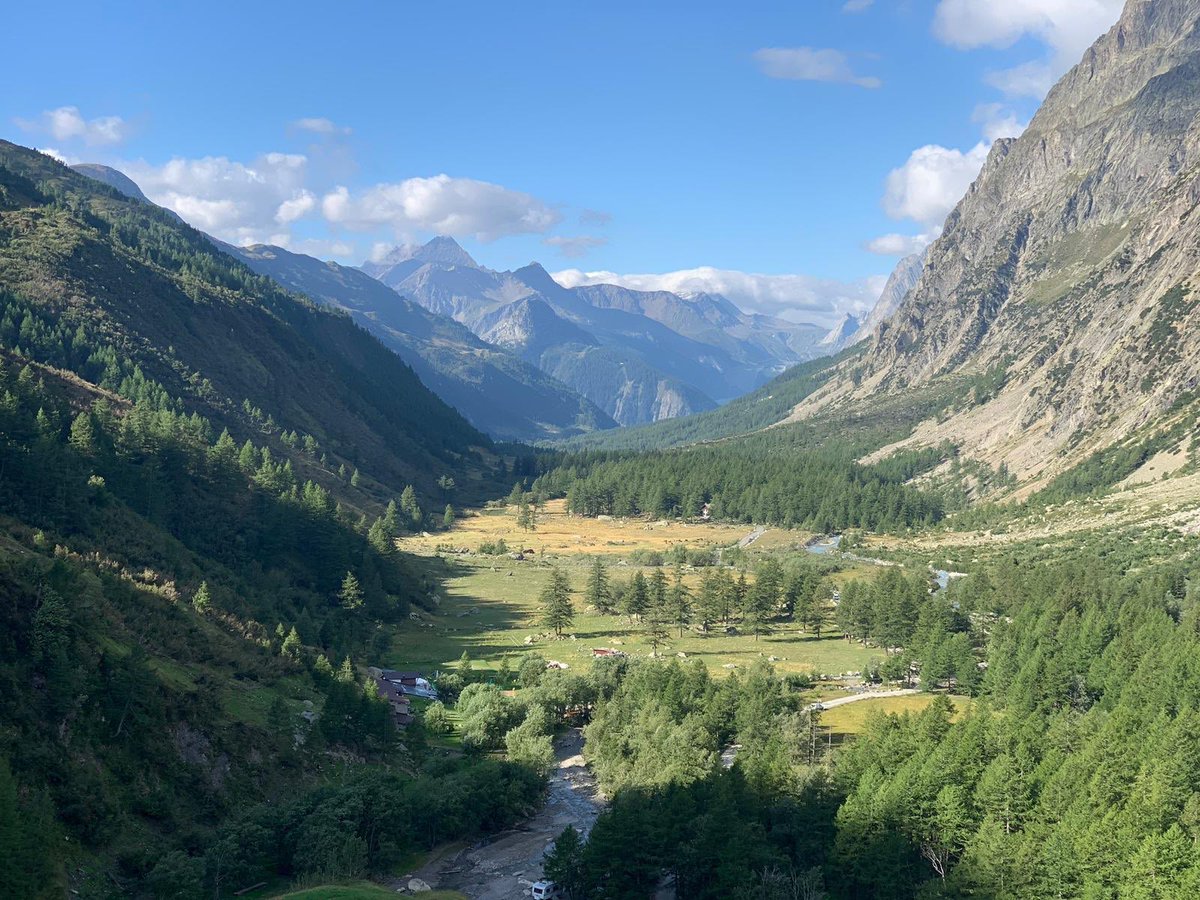 clare beynon tweet media