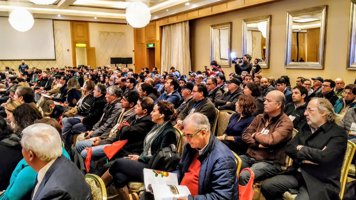 Intendente <a href="/juanmasferrer/">Juan M. Masferrer</a> junto a Subsecretario <a href="/Sub_Agricultura/">Subsecretaría de Agricultura</a> Alfonso Vargas encabezan 2da edición #Hortitrade2019 y Rueda de Negocio. Evento que posiciona a #OHiggins como mayor referente hortícola a nivel nacional. 🇨🇱🍅🥦#ChileEnMarcha