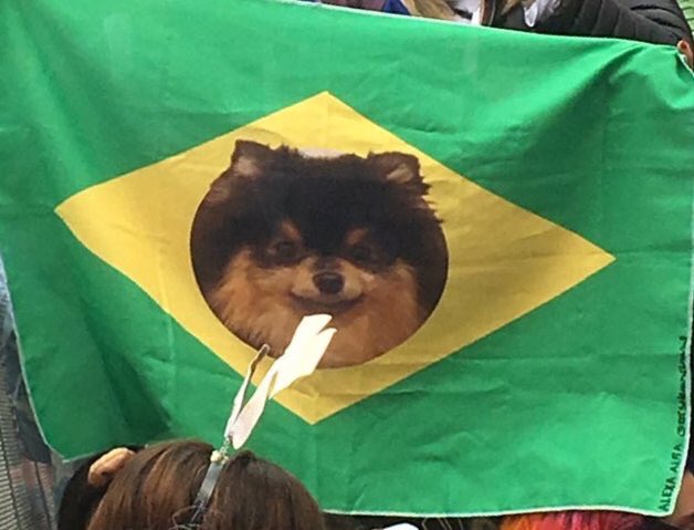 tanniemanager's tweet photo. Taehyung's reaction when he saw a Brazilian flag with Yeontan's face on it... 😭 Just knowing that no one and nothing else can make Taehyung happy like Yeontan does... He's truly a blessing to all of us. 💜🐶✨

#KingYeontanDay
#HappyBirthdayTannie
@BTS_twt https://t.co/e1lckXAwCE