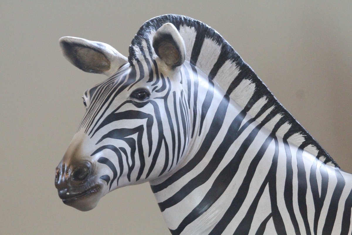 CharlesTroupin's tweet image. Water depth (of field) at @Zebrastraat
#opensealab