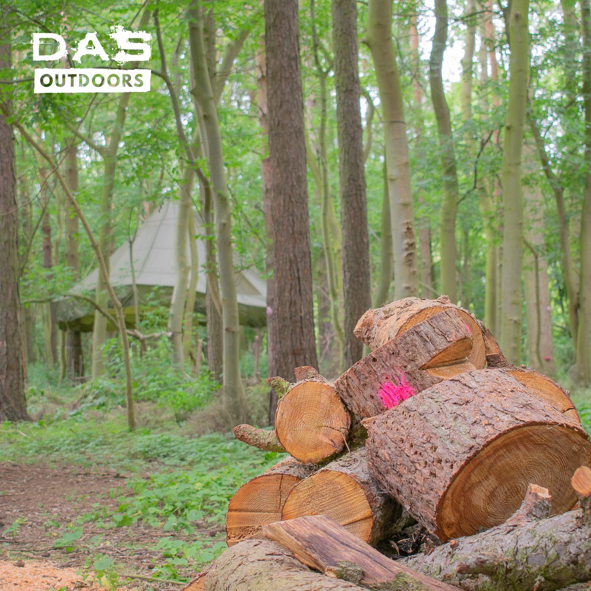 I love this image I took whilst visiting <a href="/Bushcraft/">John Rhyder</a> &amp; Beyond.

The contrast of the bright pink against all those natural colours really makes me smile.

I'm not sure why...

#happy #fridayfeeling