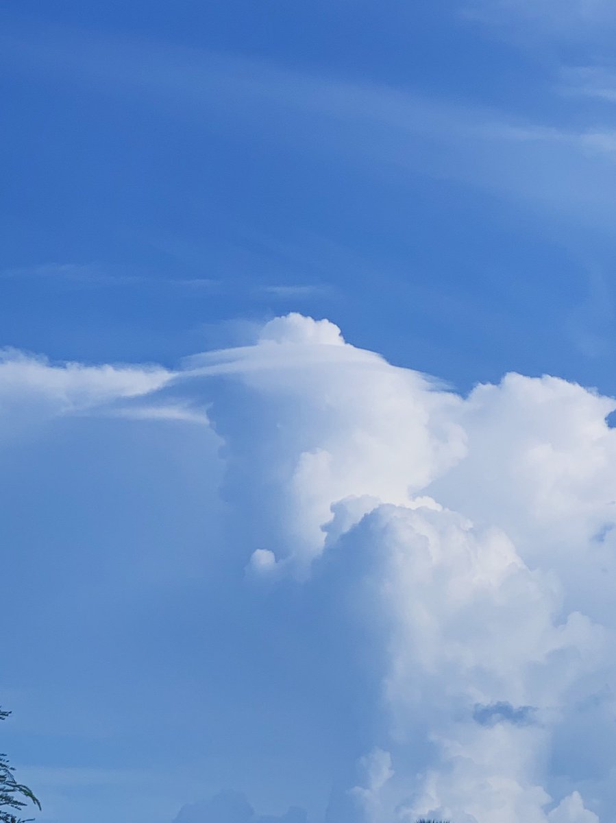 tamsingreen's tweet photo. ☁️PILEUS CLOUDS🧢
⬇️
https://t.co/s13QghSzcm
#pileusclouds #cloudappsoc #stormhour #flxwx @EarthandClouds https://t.co/gI4L7TUe5M