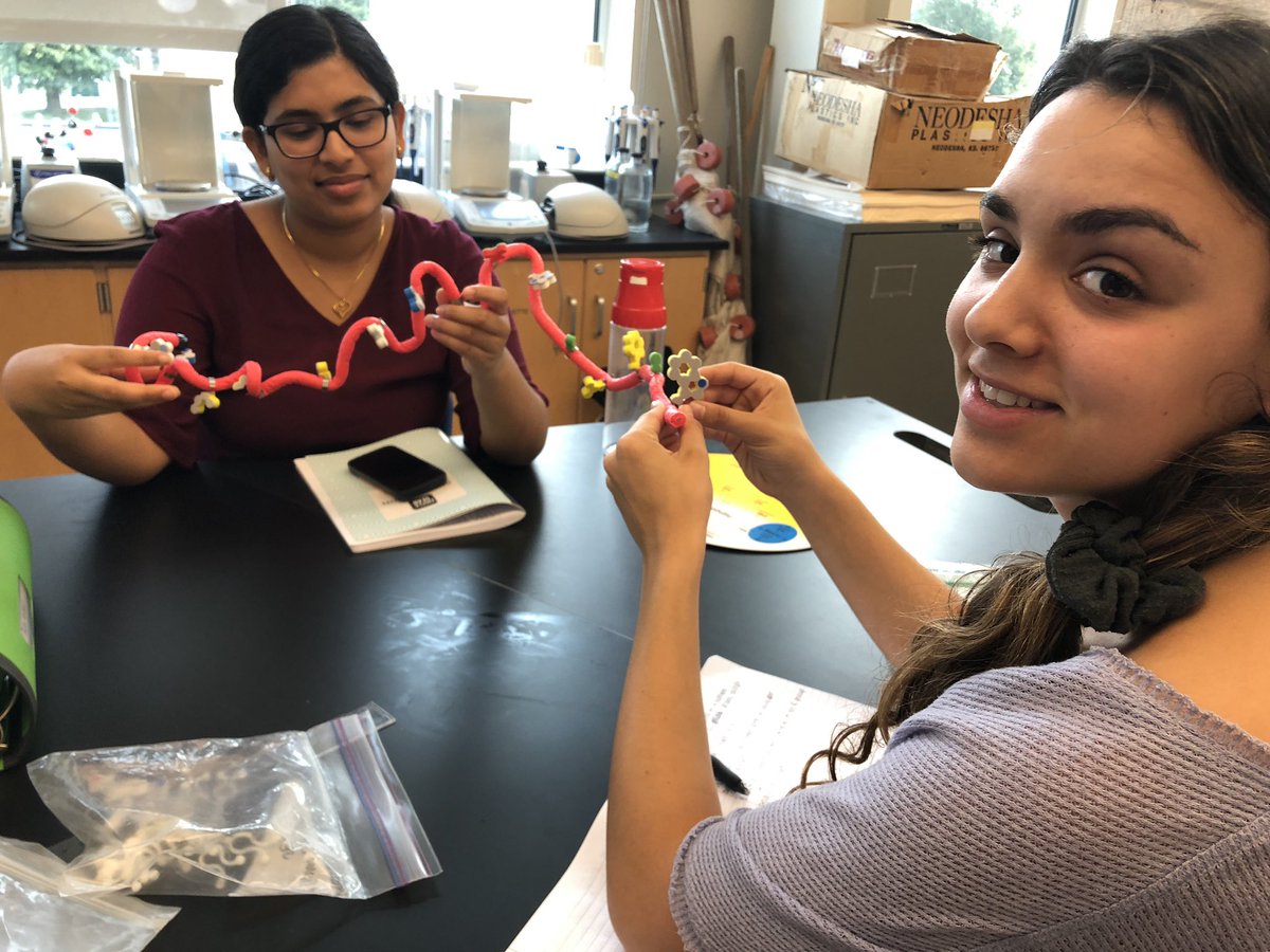 #ProteinFolding in the house @BVCAPS #hydrophobic #hydrophilic #saltbridge #disulfidebond On our path to @ASBMB  conference in April...