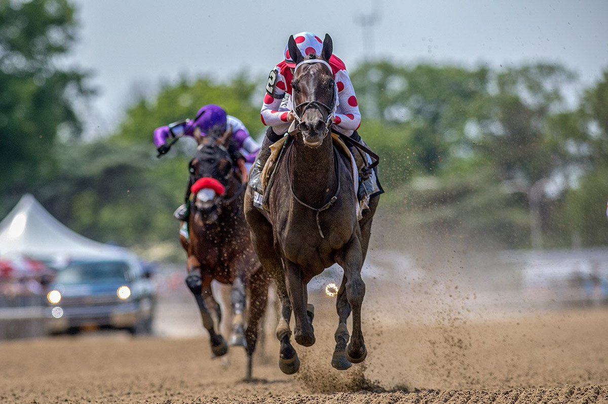 FasigTiptonCo's tweet photo. "We can't wait to bring Diva Delite to the market. She's shown her ability to throw a future Hall of Fame filly like Midnight Bisou already, and the best is yet to come for her." -Alex Payne, @TaylorMadeSales 📸: @MakMathea4  #FasigNovember #FasigSelected https://t.co/leMGTKgqAl https://t.co/bgMLVMgN4p