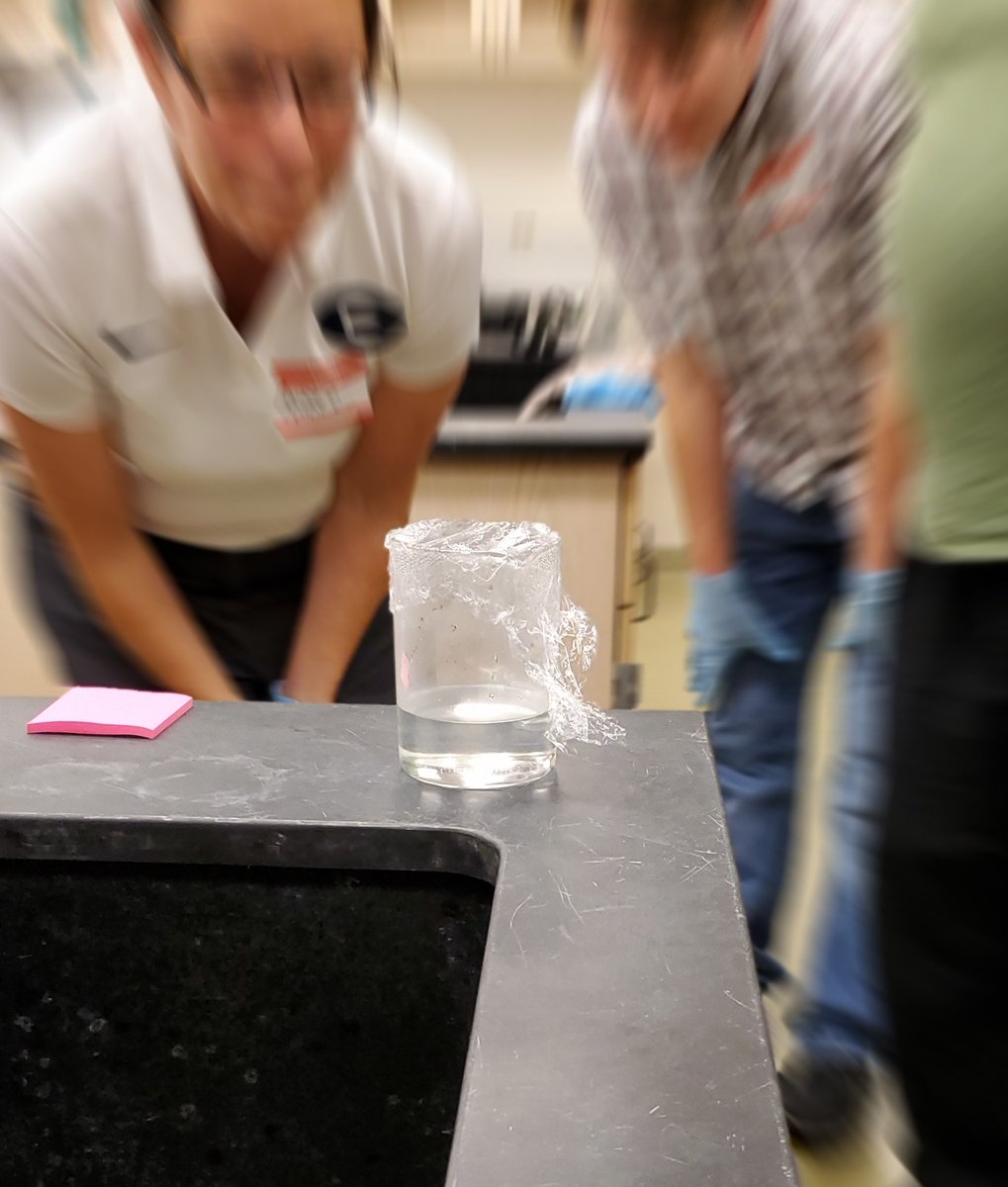 teach_me24's tweet image. Running some gels! Question: how do we mass produce insulin? #abe_tampa #tkanatomy #tkbio #iteachscience #scienceteacher