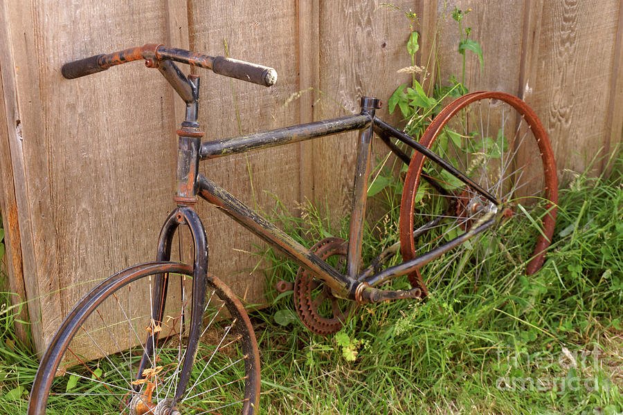 wiggle road bike