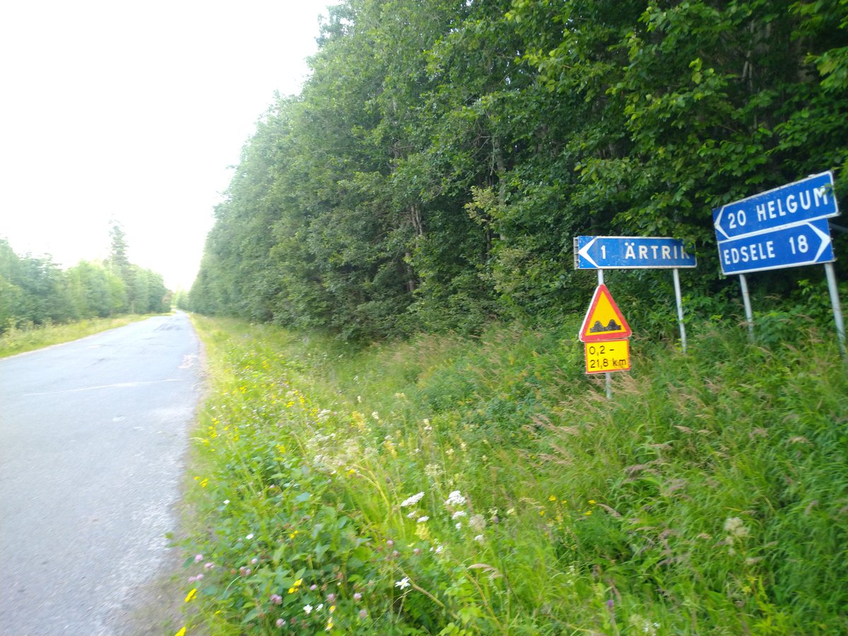 RideQualityW's tweet photo. @HALLONSA Urstark ekonomi?
Kolla tilläggstavlan under den mossbeväxta varningsskylten.
#Gupp #HelaJävlaVägen https://t.co/ZJgAzRjnSI