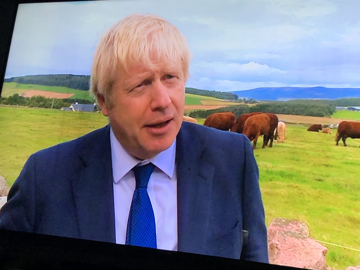 algaff's tweet image. I only have c words in my mind