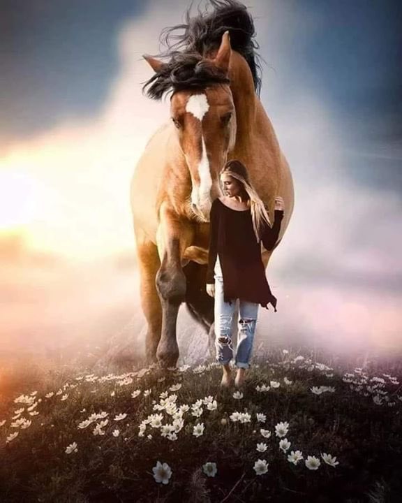 كوني كالخيل ففي الخيل عزة لا يستطيع الإنسان ٱن يفهمها،،،،
ٱنها تحزن و لا تبوح .. 
و تتألم و لا تنكسر ..