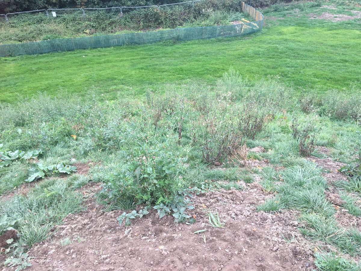 Nicola Warran (@reflexology36) on Twitter photo <a href="/LewishamCouncil/">Lewisham Council</a> @HeritageFundSE <a href="/HeritageFundUK/">The National Lottery Heritage Fund</a> #lewisham #beckenhamplacepark Project Managers have pretty much ruined our beautiful park.. promised this but reality is this #shambles <a href="/LewishamCouncil/">Lewisham Council</a> @HeritageFundSE <a href="/HeritageFundUK/">The National Lottery Heritage Fund</a> #lewisham #beckenhamplacepark Project Managers have pretty much ruined our beautiful park.. promised this but reality is this #shambles